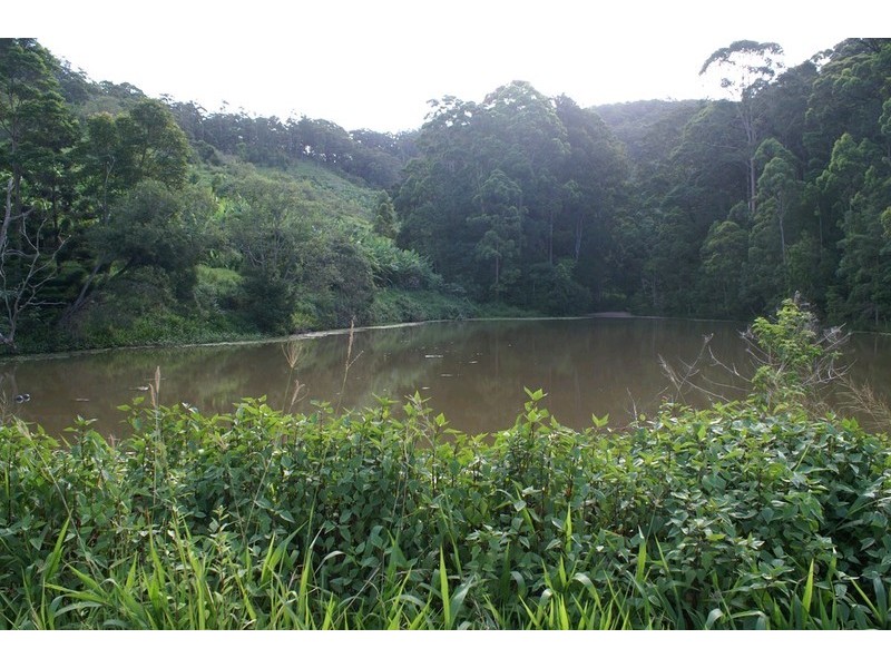 LOT 3 Newmans Road, Woolgoolga NSW 2456