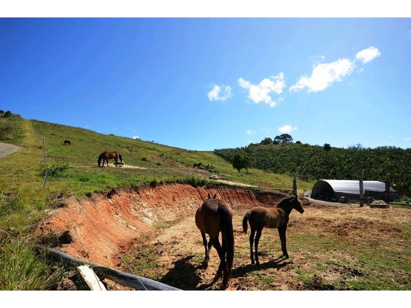 LOT A Puhos Road, Sandy Beach NSW 2456