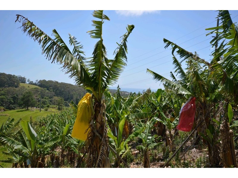 108 West Korora Road, Coffs Harbour NSW 2450