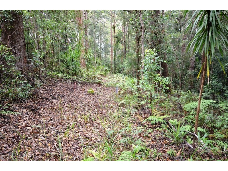 73 Hydes Creek Road, Bellingen NSW 2454