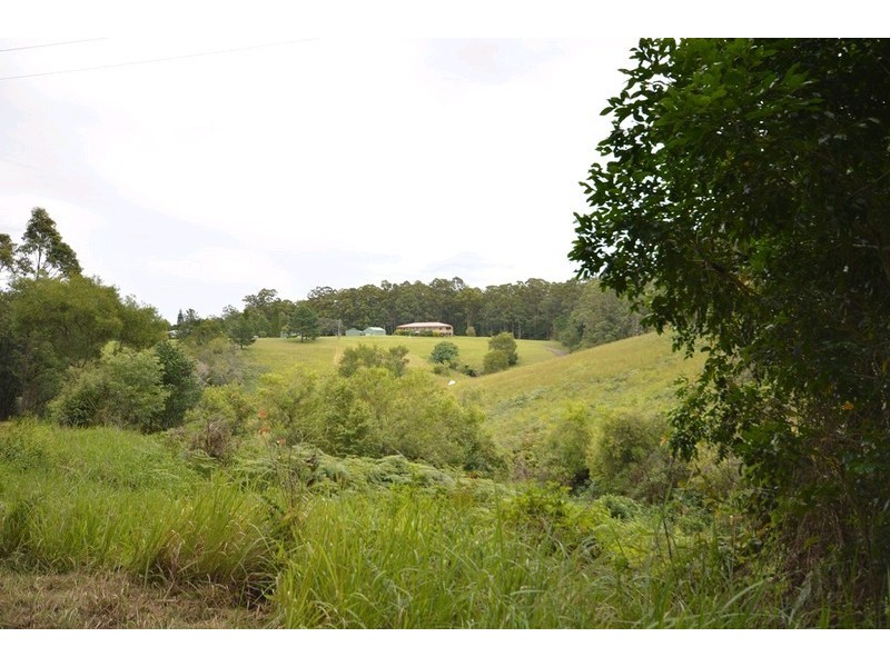 73 Hydes Creek Road, Bellingen NSW 2454