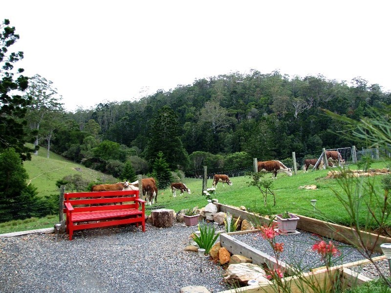 236 Timmsvale Road, Ulong NSW 2450