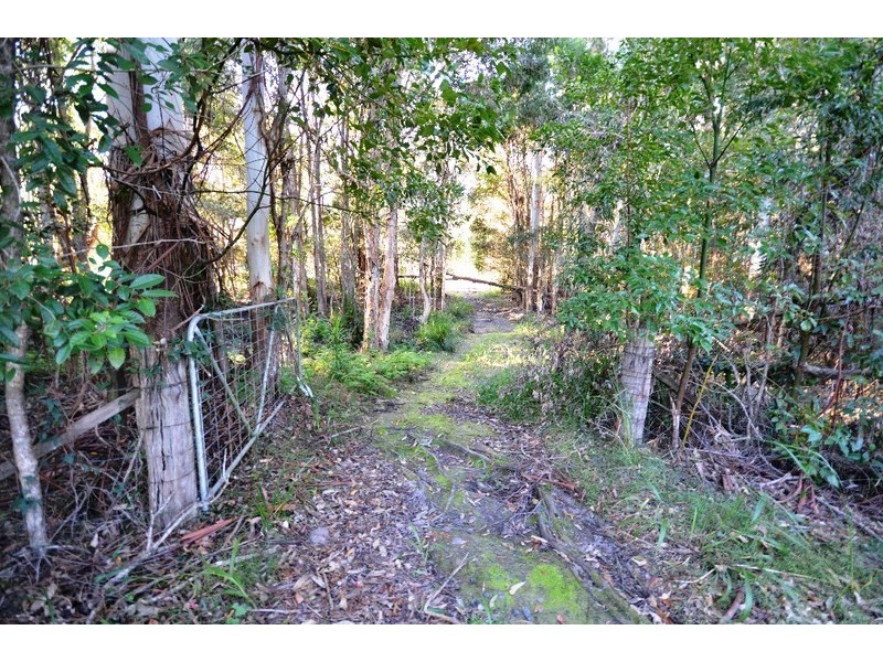 24 Butlers Road, Bonville NSW 2441