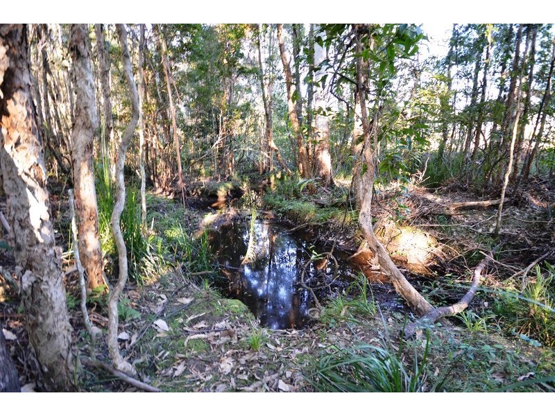 24 Butlers Road, Bonville NSW 2441