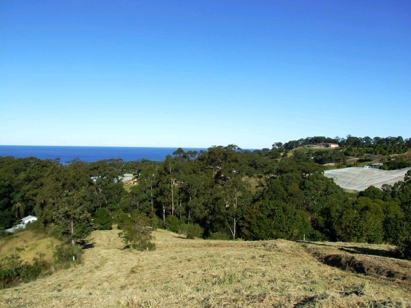 Proposed Lot 23 The Mountain Way, Sapphire Beach NSW 2450