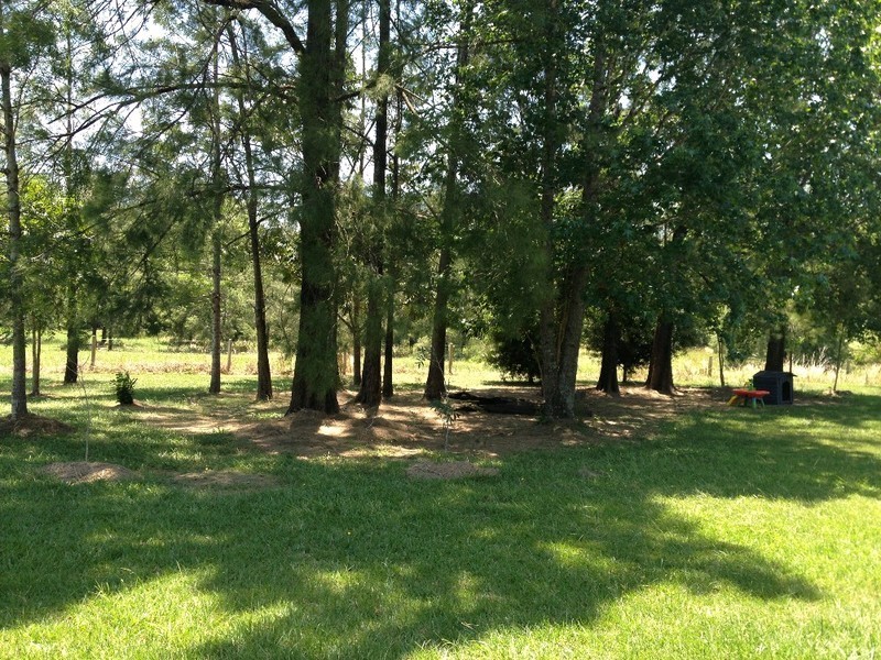 1424 Bucca Road, Nana Glen NSW 2450