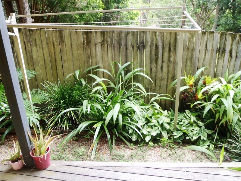 6/81 Hood Street, Coffs Harbour NSW 2450