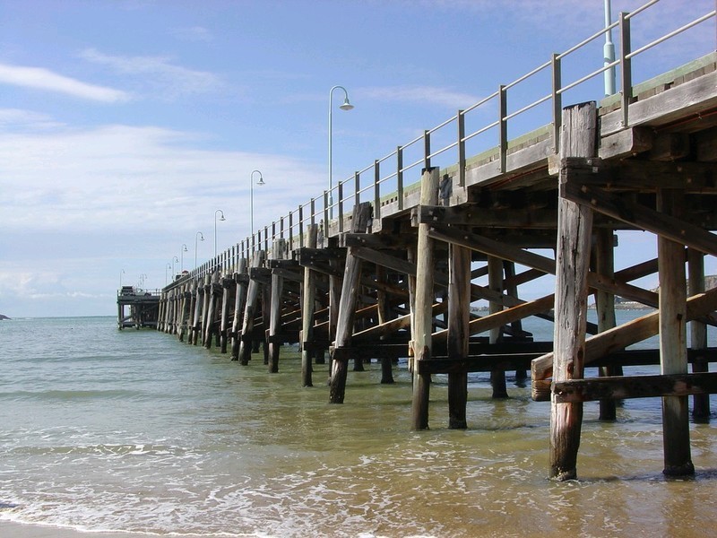 56 William Sharp Drive, Coffs Harbour NSW 2450