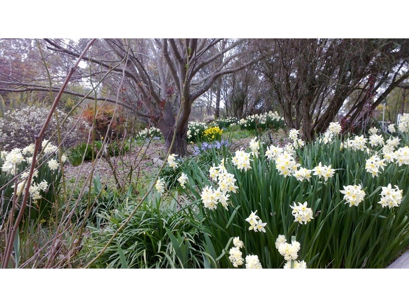 1468 Norton Road, Bungendore NSW 2621