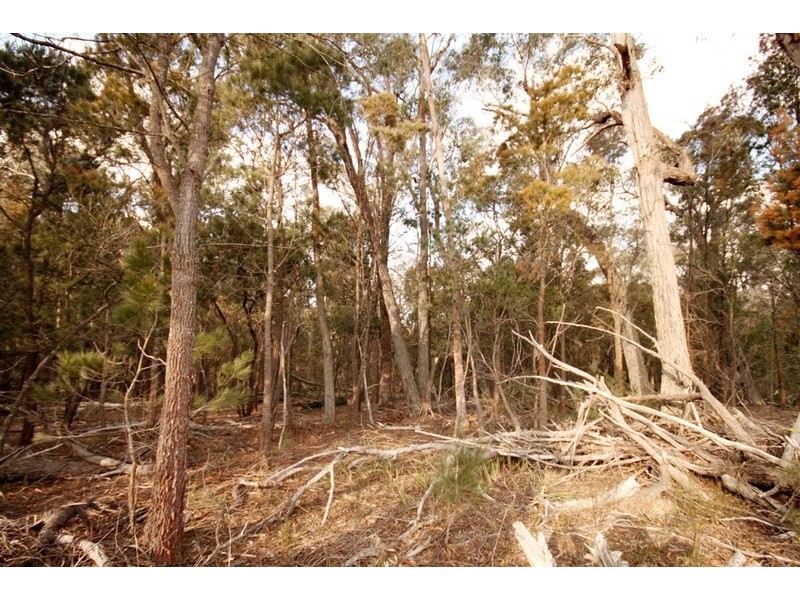 430 Willow Glen Road, Tarago NSW 2580