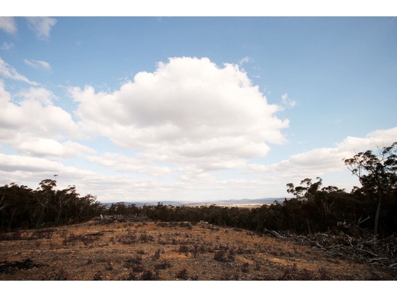 430 Willow Glen Road, Tarago NSW 2580