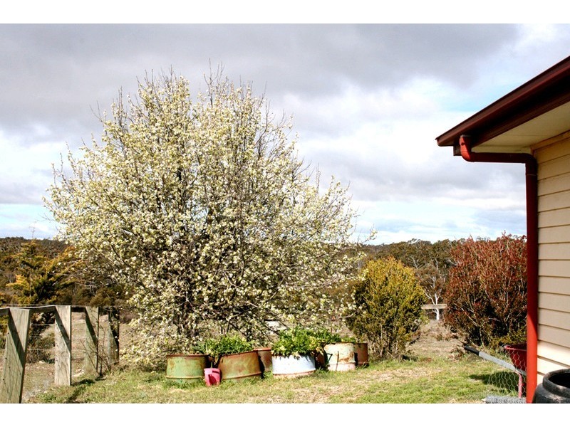 88 Jamaleopa Road, Manar NSW 2622