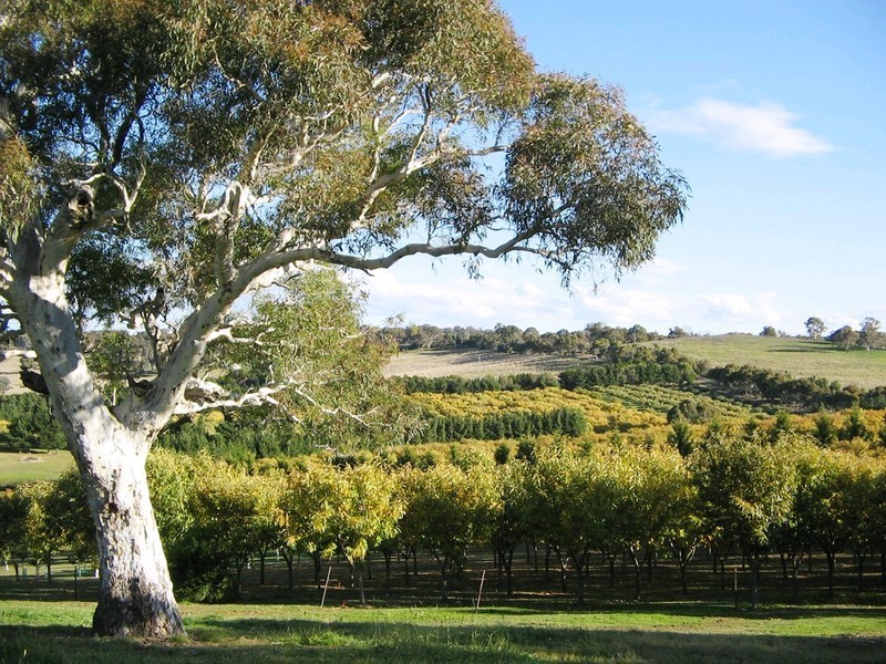 89 POLLACK Road, Hoskinstown NSW 2621