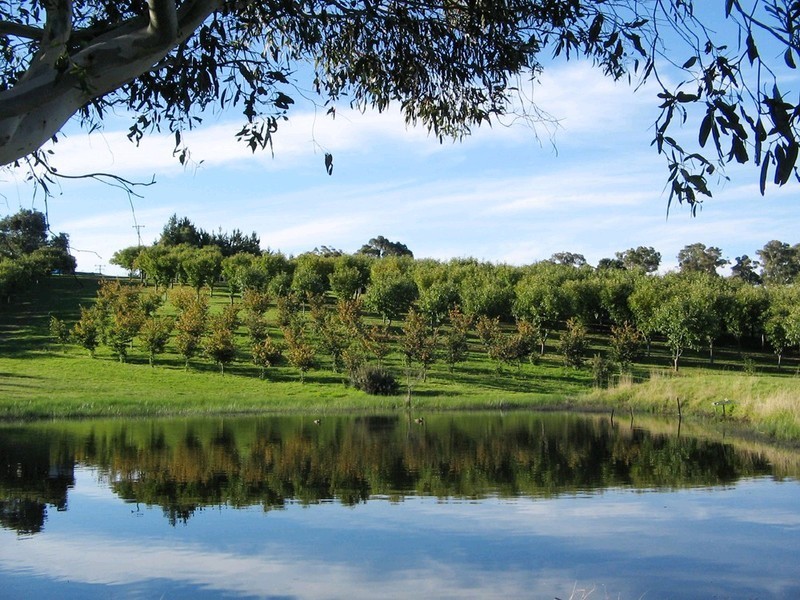 89 POLLACK Road, Hoskinstown NSW 2621
