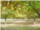 89 POLLACK Road, Hoskinstown NSW 2621