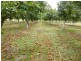 89 POLLACK Road, Hoskinstown NSW 2621