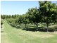 89 POLLACK Road, Hoskinstown NSW 2621