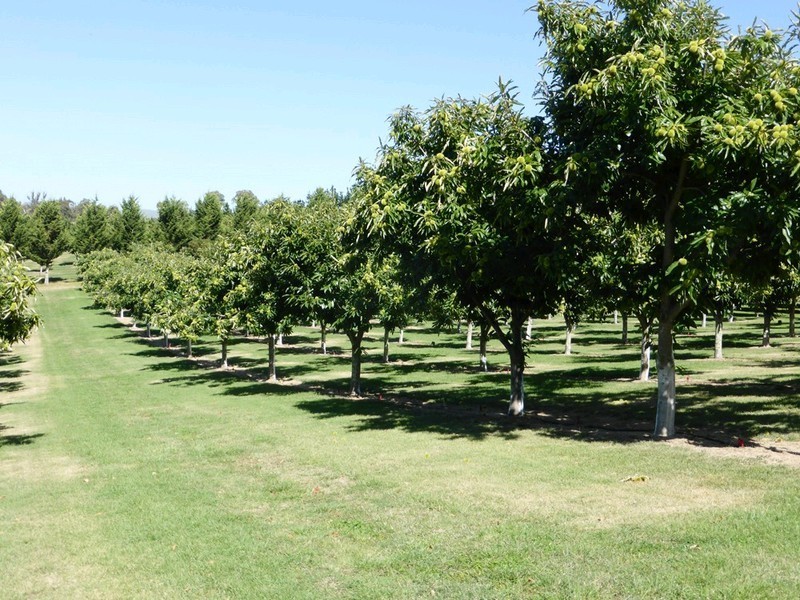89 POLLACK Road, Hoskinstown NSW 2621