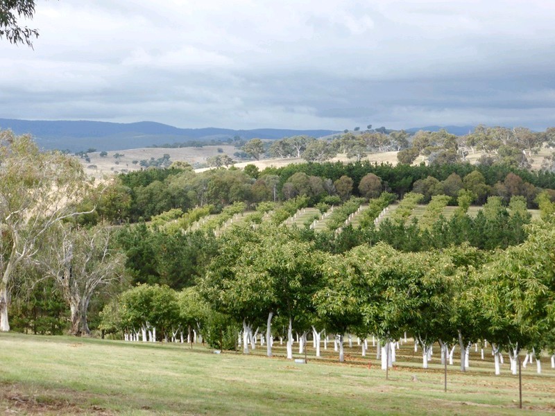 89 POLLACK Road, Hoskinstown NSW 2621