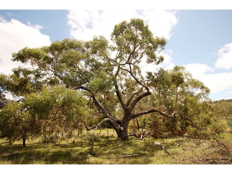 806A Bungendore Road, Bywong NSW 2621