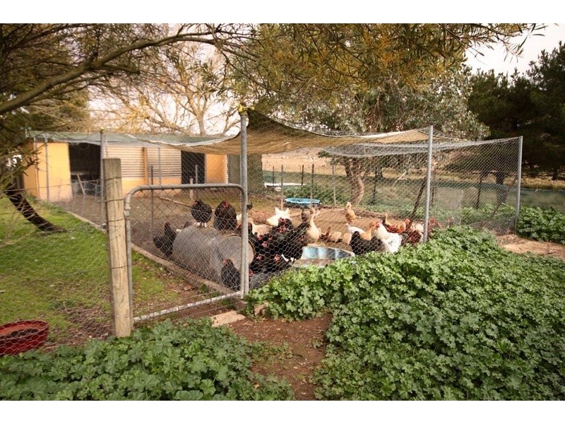 643 Taylors Creek Road, Tarago NSW 2580