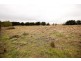 643 Taylors Creek Road, Tarago NSW 2580