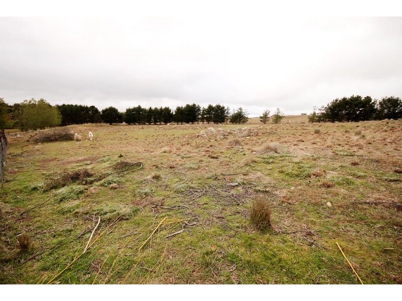 643 Taylors Creek Road, Tarago NSW 2580