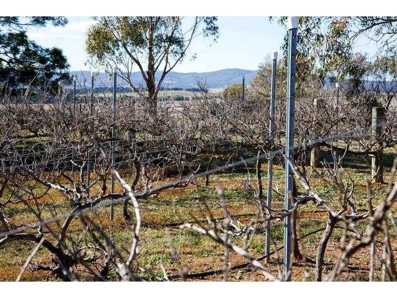 56 Hope Drive, Bungendore NSW 2621