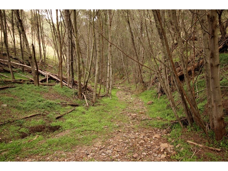 449 Lake Road, Lake George NSW 2581