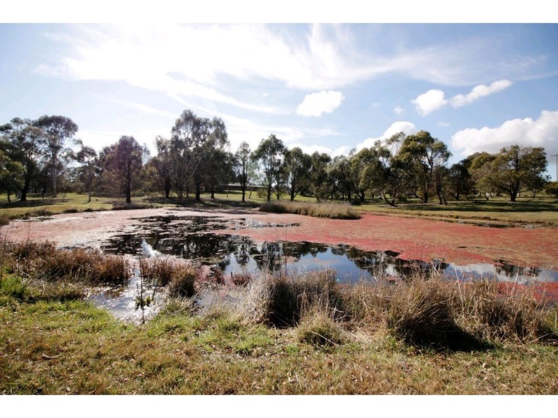 708 Norton Road, Wamboin NSW 2620