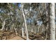 74 Clare Lane, Bungendore NSW 2621
