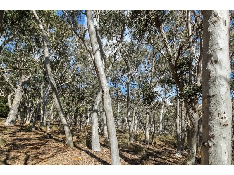 74 Clare Lane, Bungendore NSW 2621