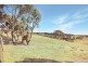 74 Clare Lane, Bungendore NSW 2621