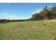 74 Clare Lane, Bungendore NSW 2621