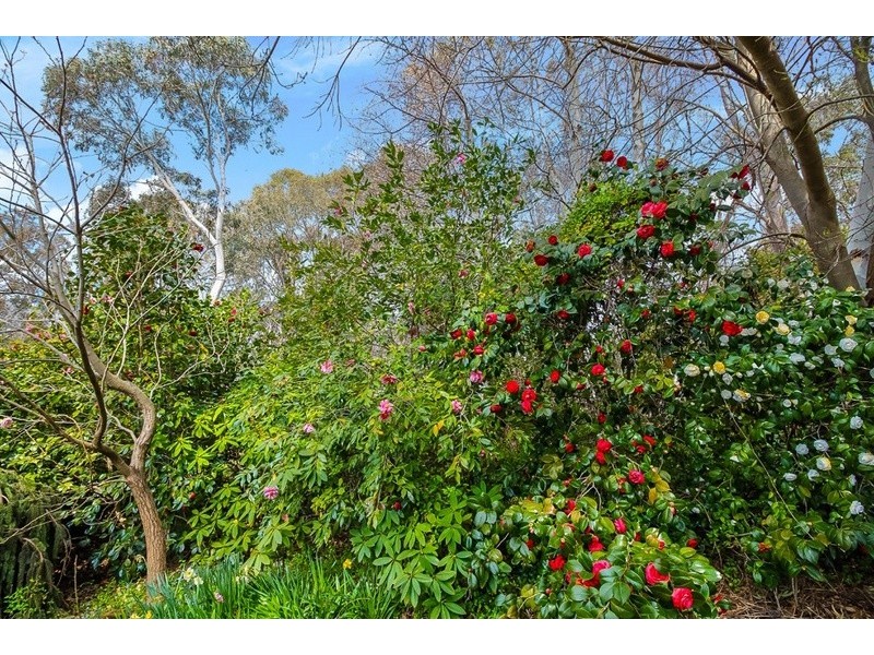 177 Poppet Road, Wamboin NSW 2620