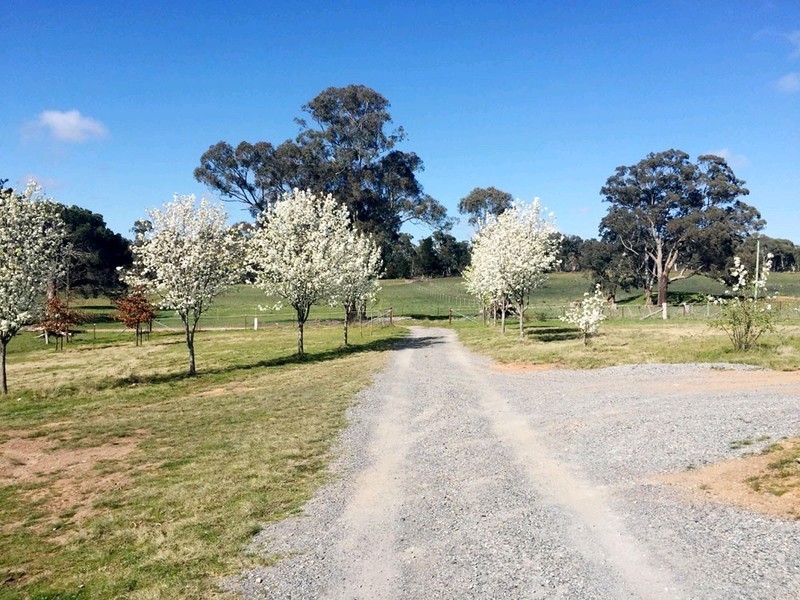 39 Brooks Creek Lane, Gundaroo NSW 2620
