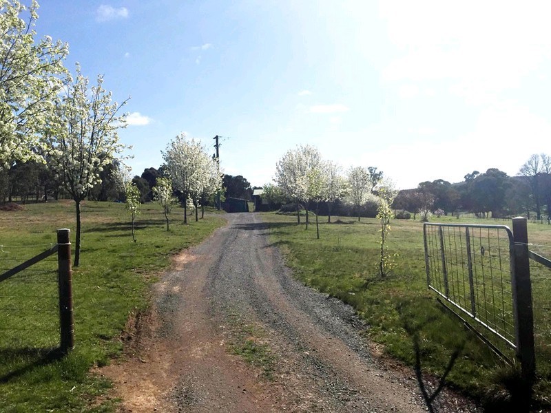 39 Brooks Creek Lane, Gundaroo NSW 2620