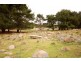643 Taylors Creek Road, Tarago NSW 2580