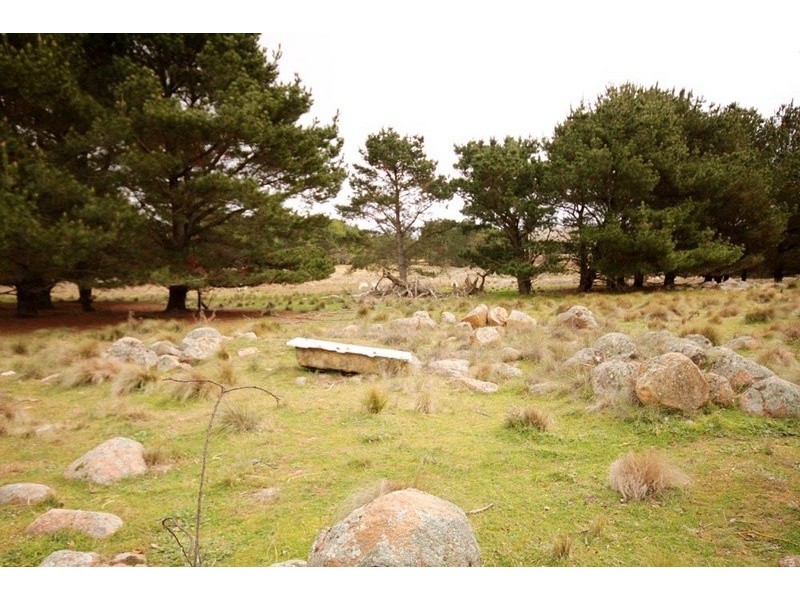 643 Taylors Creek Road, Tarago NSW 2580