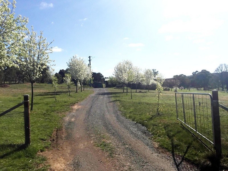 39 Brooks Creek Lane, Gundaroo NSW 2620