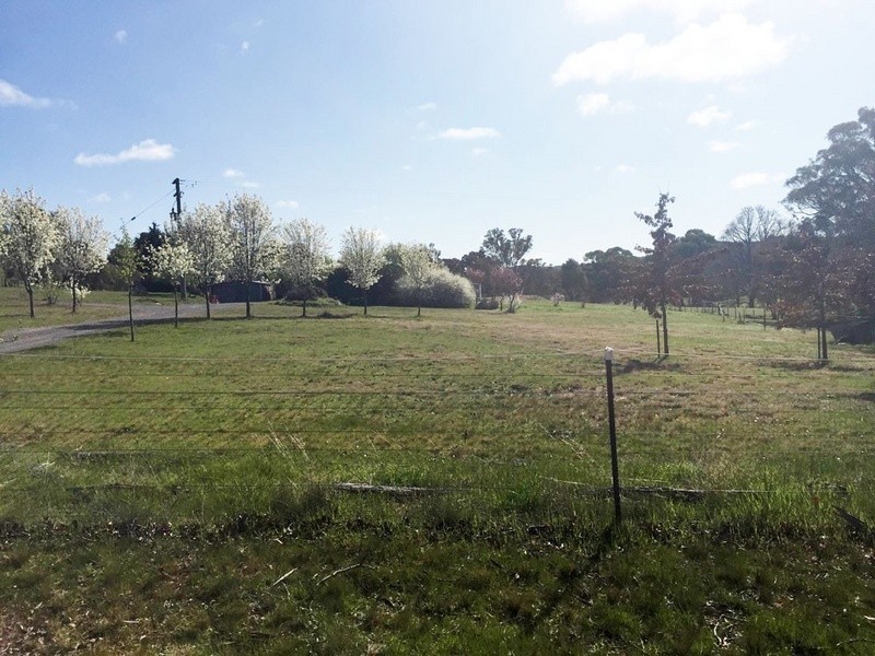 39 Brooks Creek Lane, Gundaroo NSW 2620