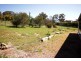 60 Cartwright Avenue, Sutton NSW 2620