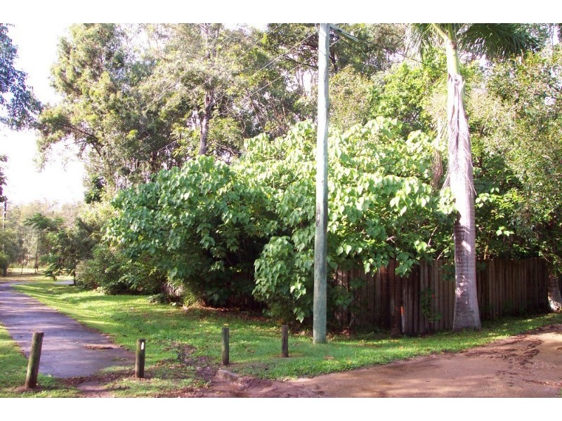 12 Sunrise Avenue, Tewantin QLD 4565