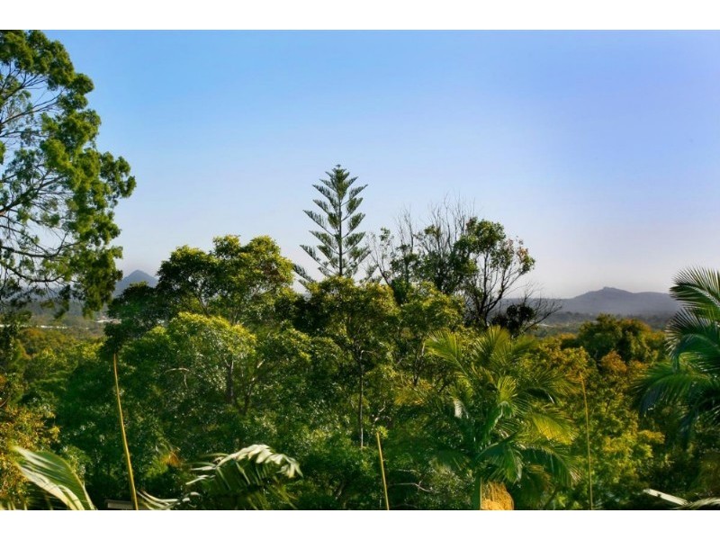 25 Currawong Street, Noosa Heads QLD 4567