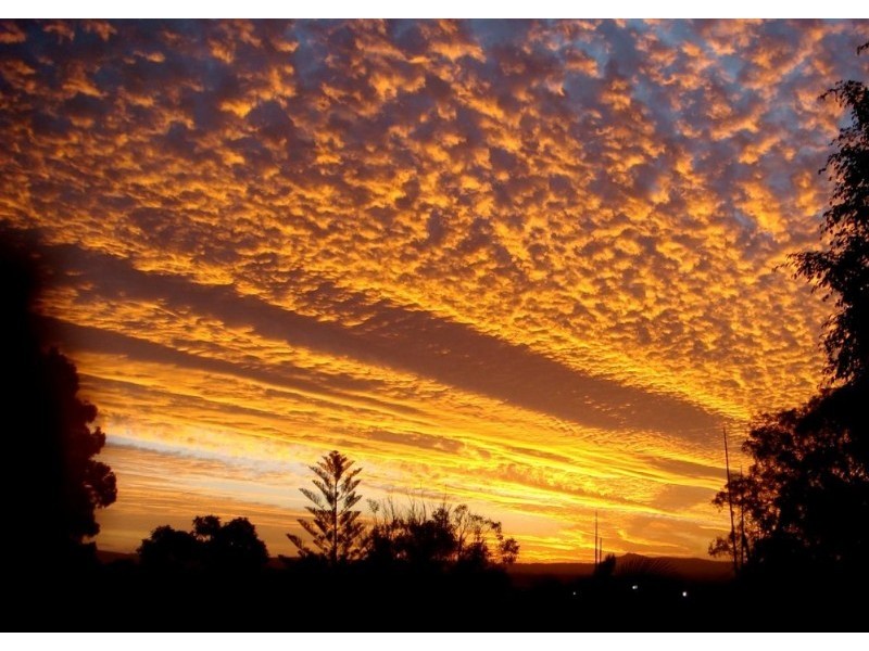 25 Currawong Street, Noosa Heads QLD 4567