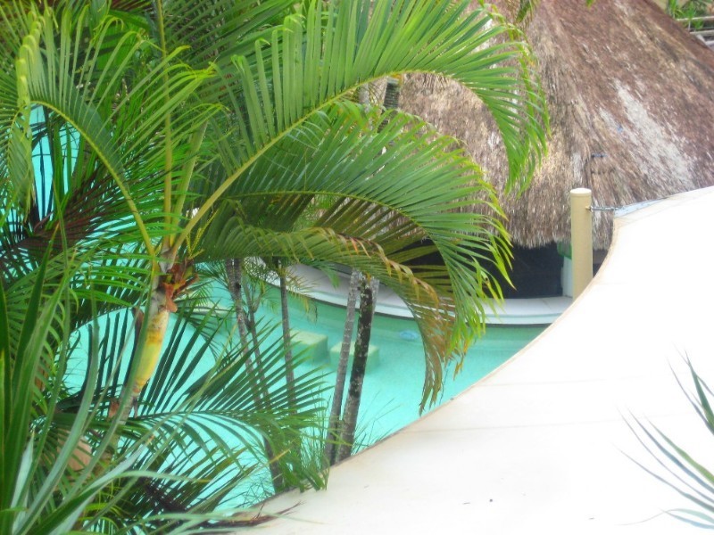 Noosa Heads QLD 4567