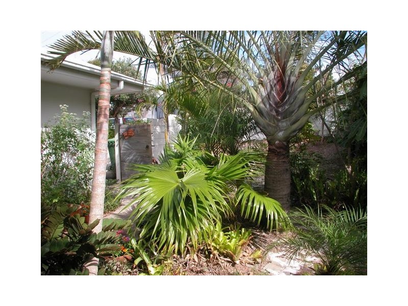 20 Ventura Street, Sunrise Beach QLD 4567