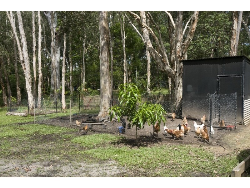Doonan QLD 4562