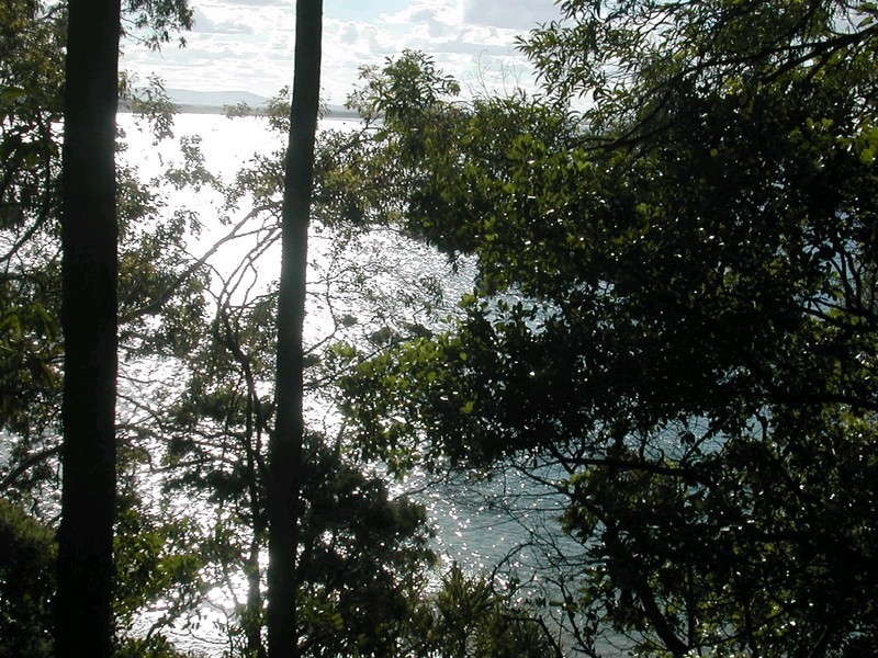 Little Cove QLD 4567