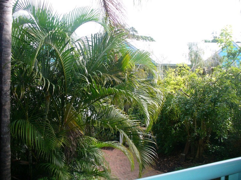 Sunshine Beach QLD 4567